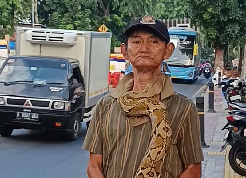 Lansia bentangkan ular di Kramat Jati