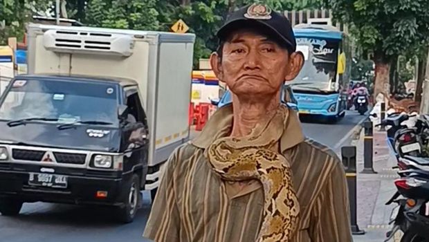 Lansia bentangkan ular di Kramat Jati