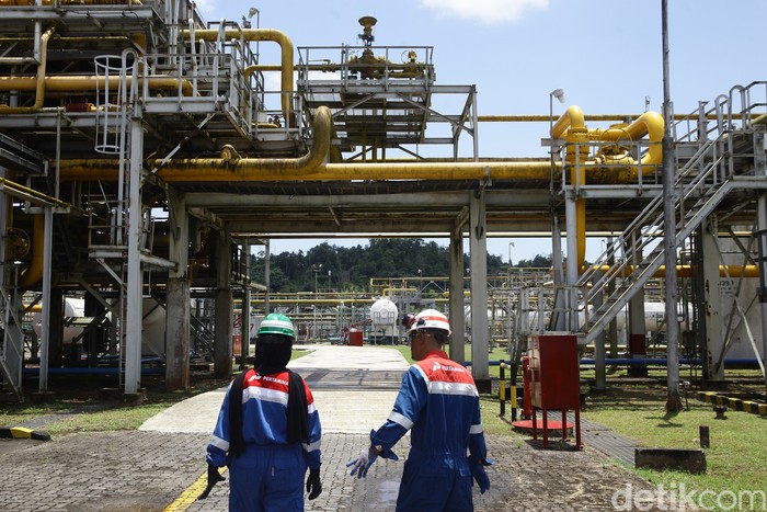 Pekerja mengecek jaringan pipa produksi di kawasan lapangan minyak dan gas Mutiara Field, Zona 9 PT Pertamina Hulu Sanga Sanga (PHSS), Kutai Kartanegara, Kalimantan Timur, Kamis (16/10/2025). Hingga semester pertama tahun 2025, PHSS telah memproduksi 12,7 ribu barel minyak per hari (Bopd) dan 93 juta standar kaki kubik gas. Angka tersebut telah melampaui target produksi tahun ini.