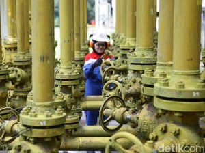 Indonesia Pangkas Ekspor Gas, Singapura Buka-bukaan Dampaknya