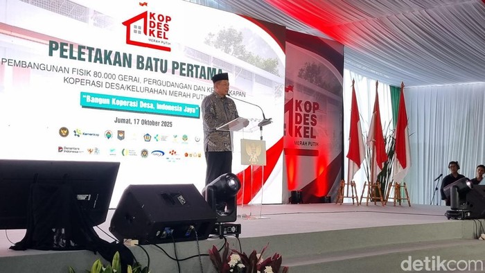 Menteri Koperasi dan UKM (Menkop) Ferry Juliantono (Taufiq/detikcom)