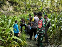 Petani Bojonegoro Ditemukan Tewas Bersimbah Darah di Ladang Jagung