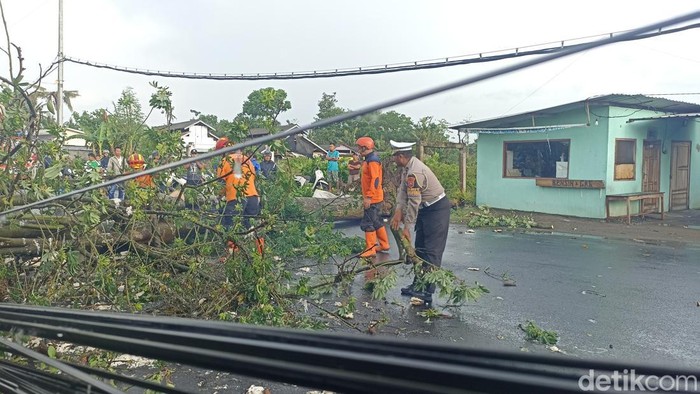 Pohon Tumbang Tutup Jalan Alternatif Jalur Blitar - Malang