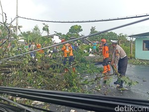 Pohon Tumbang Tutup Jalan Alternatif Jalur Blitar - Malang