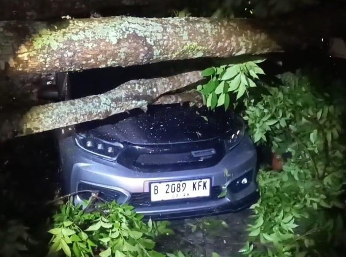 Satu mobil parkir tertimpa pohon mahoni di Gatak Gamol, Muntilan, Kabupaten Magelang, Jumat (17/10/2025).