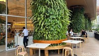 Teru ini berlokasi di Epiwalk Jakarta di lantai LG. Restoran ini memiliki area yang luas, ada indoor dan outdoor-nya. Cocok untuk makan siang atau makan malam. Foto: detikcom/Riska Fitria Teru ini berlokasi di Epiwalk Jakarta di lantai LG. Restoran ini memiliki area yang luas, ada indoor dan outdoor-nya. Cocok untuk makan siang atau makan malam. Foto: detikcom/Riska Fitria