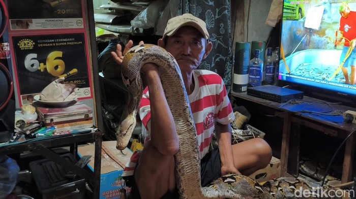 Kakek Subari Pelihara Ular di Jaktim
