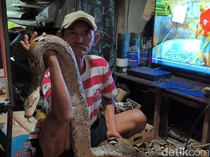 Saat Ular Petir Jadi Senjata Melawan Penjajah Jalanan Ibukota