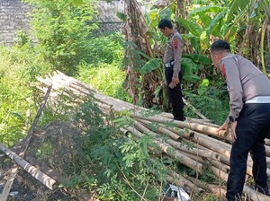 Truk Angkut Bambu yang Kabur Usai Kecelakaan di Klaten Terlacak