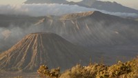 Nikita Willy selalu menarik perhatian dengan unggahannya di Instagram. Kali ini ia membagikan foto liburan ke Bromo, Jawa Timur, bersama suami dan anaknya.Foto: Instagram @nikitawillyofficial94