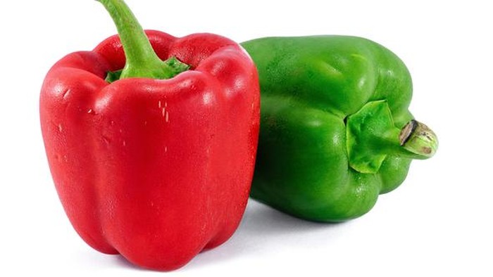 Paprika merah dan hijau Paprika merah dan hijau