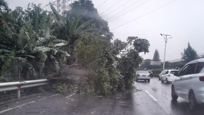 Pohon tumbang di Tol Jagorawi arah Cawang.