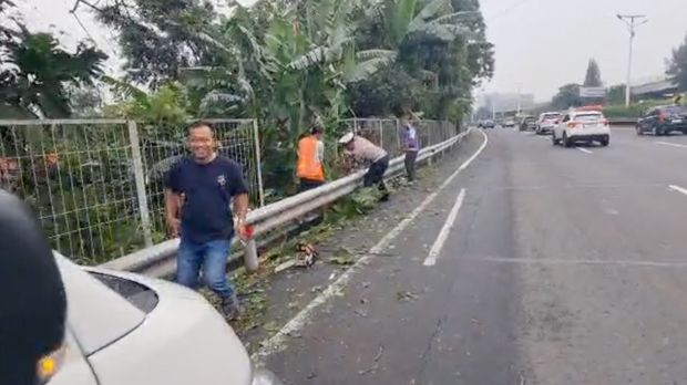 Pohon tumbang di Tol Jagorawi arah Cawang telah dievakuasi. Pohon tumbang di Tol Jagorawi arah Cawang telah dievakuasi, Sabtu (18/10/202).