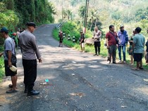 Nahas! Pemotor Tewas Tertimpa Pohon Tumbang di Samigaluh Kulon Progo