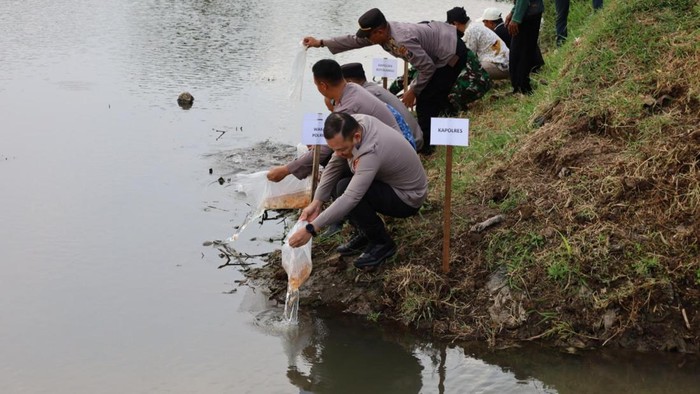 Polres Tulungagung Tebar 5.000 Benih Ikan Tombro di Sungai Ngrowo