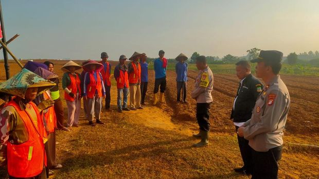 Wakapolda Metro Jaya Brigjen Dekananto Eko Purwono meninjau lahan 25 hektare di Cikarang Pusat untuk ketahanan pangan.