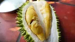 10 Durian Terbaik dengan Tekstur Creamy dan Rasa Unik, Ada dari Indonesia?