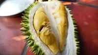 Durian 6Huu dari Ho Chi Minh, Vietnam dideskripsikan Year of the Durian punya daging tebal dan rasa creamy. “Rasanya seperti menikmati kental manis atau dessert susu kedelai yang manis,” ujar mereka. Foto: Year of the Durian