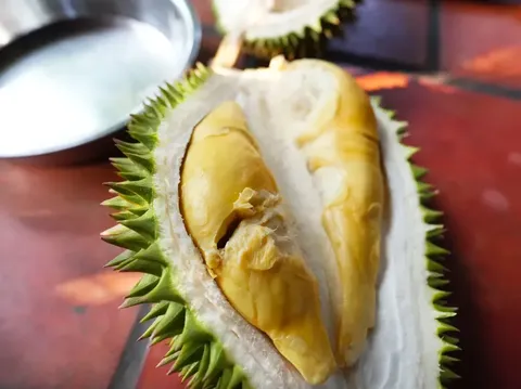 10 Durian Terbaik dengan Tekstur Creamy dan Rasa Unik 10 Durian Terbaik dengan Tekstur Creamy dan Rasa Unik