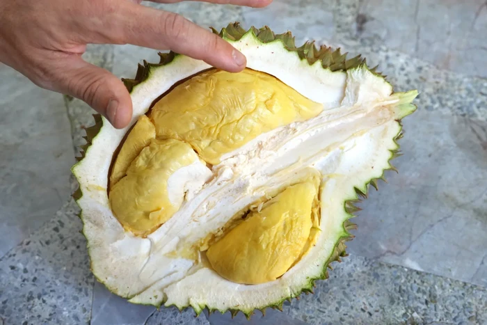 10 Durian Terbaik dengan Tekstur Creamy dan Rasa Unik