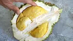 10 Durian Terbaik dengan Tekstur Creamy dan Rasa Unik, Ada dari Indonesia?