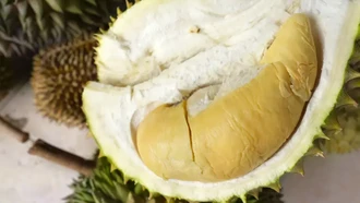 Rebutan Klaim Durian Singapura Vs Malaysia, Indonesia Punya Jenis Terbanyak