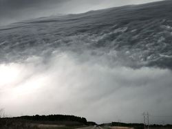 Foto-foto Ilusi Optik yang Membingungkan Sampai Dikira Palsu