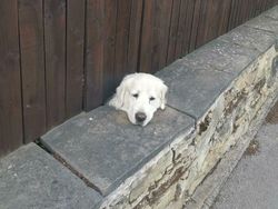 Foto-foto Ilusi Optik yang Membingungkan Sampai Dikira Palsu