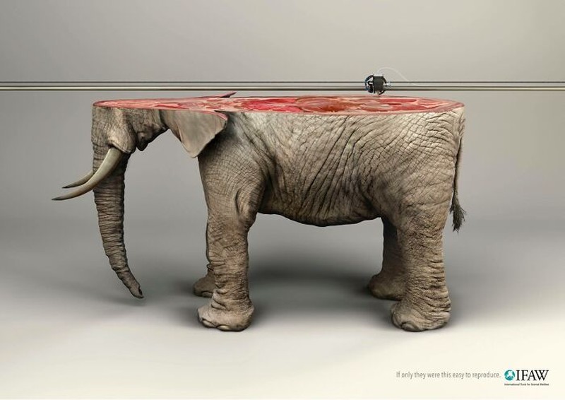 Gajah