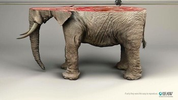 Iklan International Fund for Animal Welfare (IFAW) dimaksudkan untuk meningkatkan kesadaran tentang dampak buruk perburuan liar terhadap populasi gajah. Visual tersebut menampilkan seekor gajah yang sedang dicetak 3D, tetapi tubuhnya sudah terbelah. Melambangkan bagaimana teknologi tak akan pernah bisa menggantikan apa yang dihancurkan oleh keserakahan. Foto: IFAW
