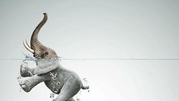 Iklan kreatif Lenor Fabric Softener ini mengubah seekor gajah, hewan yang identik dengan ketangguhan, menjadi figur mengambang bak boneka yang tampak ringan dan lembut saat mengapung di air. Foto: via Bored Panda