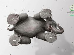 Bermacam Kampanye Iklan Tampilkan Gajah dari yang Lucu Sampai Memilukan