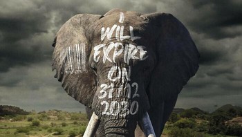 Tanggal Kedaluwarsa: 2030. Hitungan mundur yang mengerikan menuju kepunahan gajah. Foto: WWF