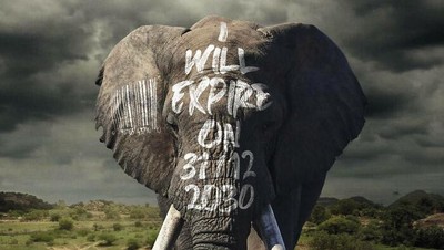 Bermacam Kampanye Iklan Tampilkan Gajah dari yang Lucu Sampai Memilukan