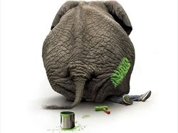 Bermacam Kampanye Iklan Tampilkan Gajah dari yang Lucu Sampai Memilukan