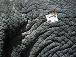 Bermacam Kampanye Iklan Tampilkan Gajah dari yang Lucu Sampai Memilukan