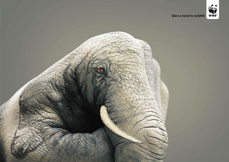 Gajah
