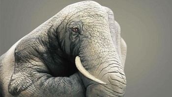 Kampanye WWF yang memukau secara visual dan sangat simbolis ini mengubah tangan manusia yang sederhana menjadi seekor gajah, secara harfiah menyatukan manusia dengan alam. Foto: WWF
