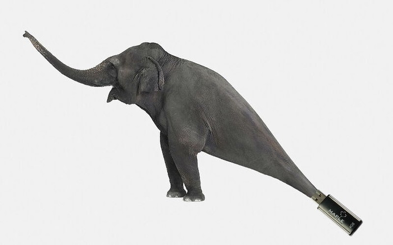 Gajah