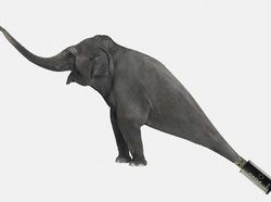 Bermacam Kampanye Iklan Tampilkan Gajah dari yang Lucu Sampai Memilukan