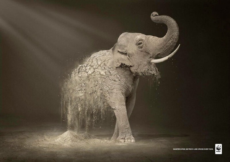 Gajah