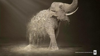 Berubah menjadi debu. Sebuah pengingat kuat tentang sesuatu yang kita akan kehilangan. Foto: WWF