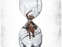 Bermacam Kampanye Iklan Tampilkan Gajah dari yang Lucu Sampai Memilukan