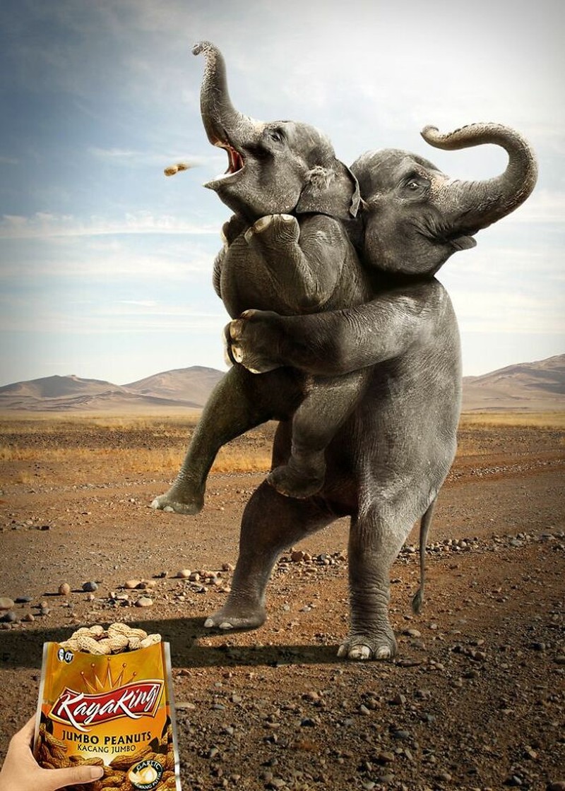 Gajah