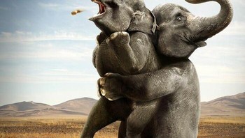 Dalam iklan ditampilkan seekor gajah tersedak kacang. Kampanye ini mengungkap bagaimana tindakan manusia yang berniat baik sekalipun dapat membahayakan satwa liar. Foto: OT