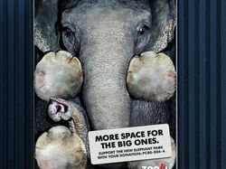 Bermacam Kampanye Iklan Tampilkan Gajah dari yang Lucu Sampai Memilukan