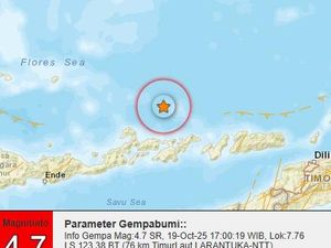 Gempa M 4,7 Guncang Larantuka, Terasa hingga Lembata