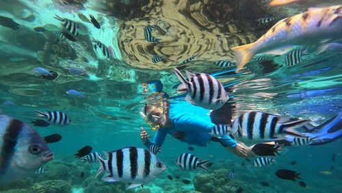 Ikan warna-warni di perairan Pulau Kanawa, Labuan Bajo, Manggarai Barat, NTT. (Istimewa)