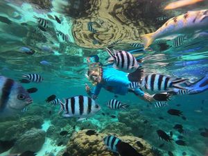 Berenang Bareng Ikan Warna-warni di Perairan Pulau Kanawa Labuan Bajo