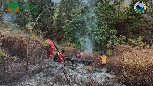 Petugas Darkalhutra sedang berusaha memadamkan api di kawasan TNGR, Minggu (19/10/2025). Foto (Sanusi Ardi W/detikBali)